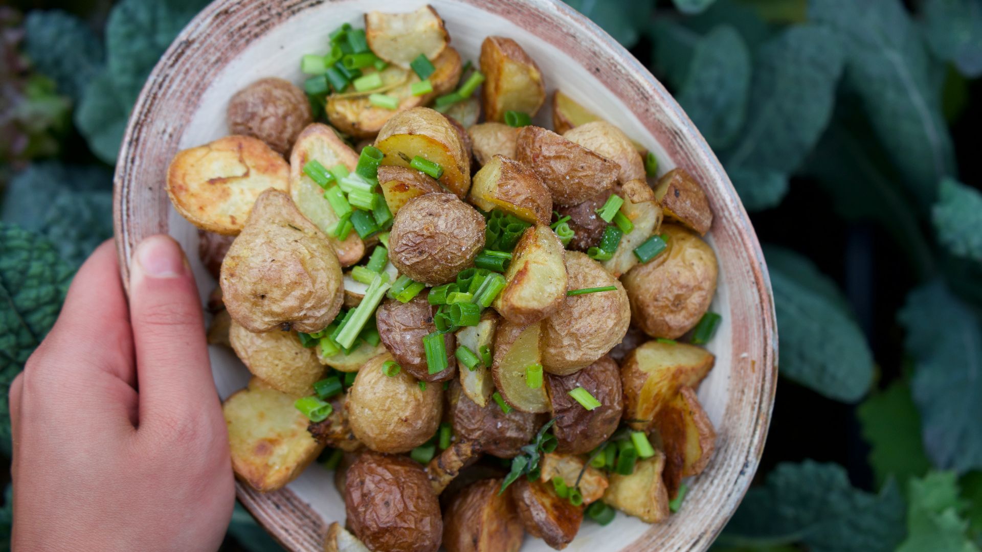 brown and green food on white ceramic bowl