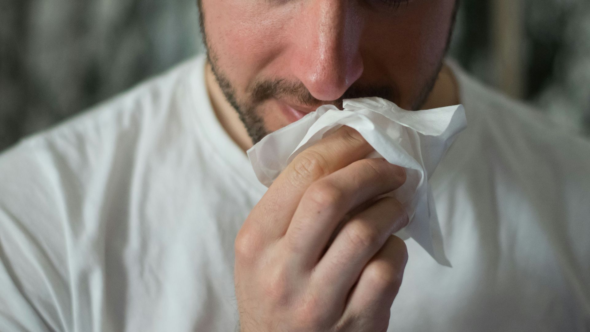 man wiping mouse with tissue paper