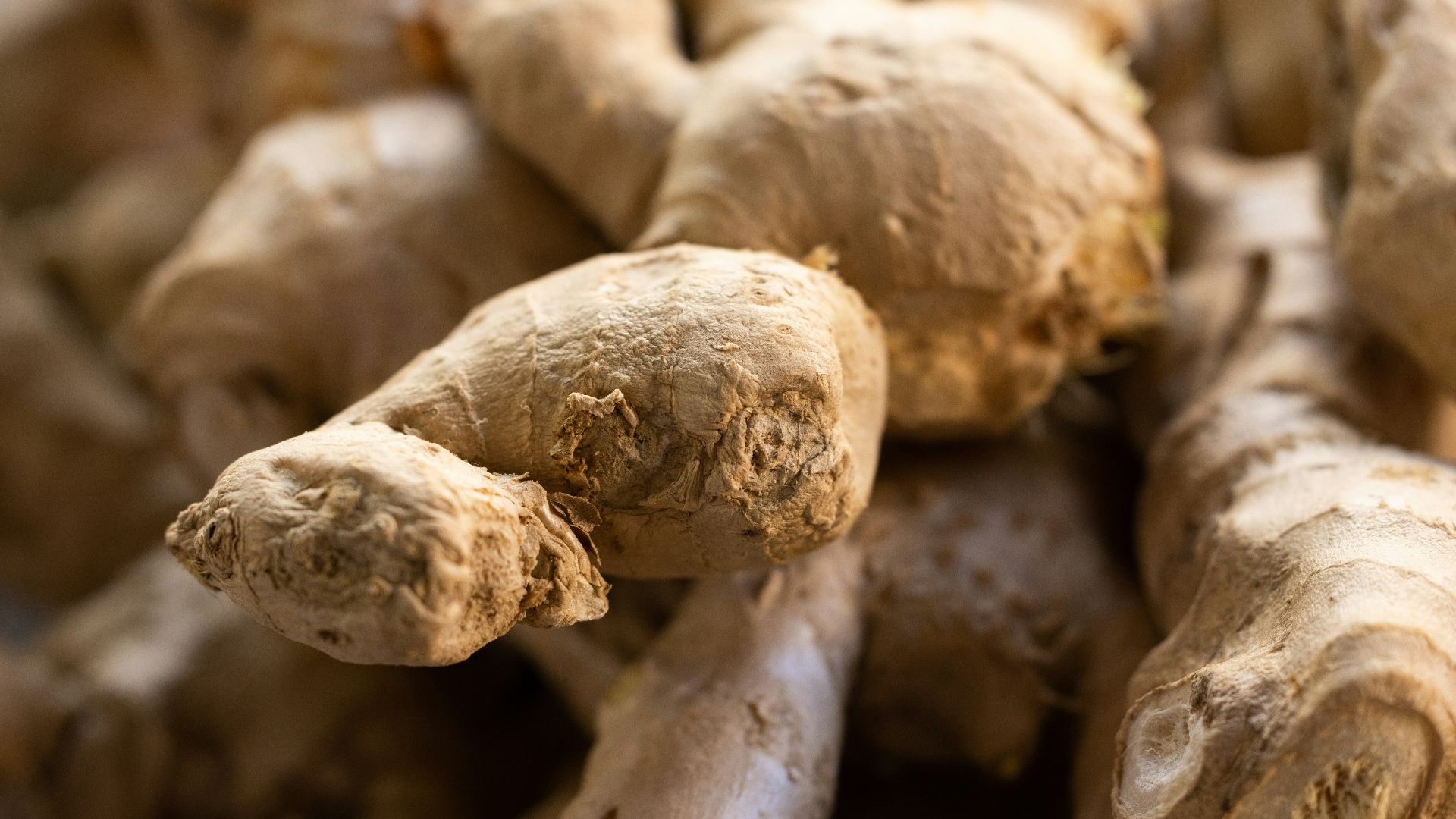 a close up of a bunch of ginger roots