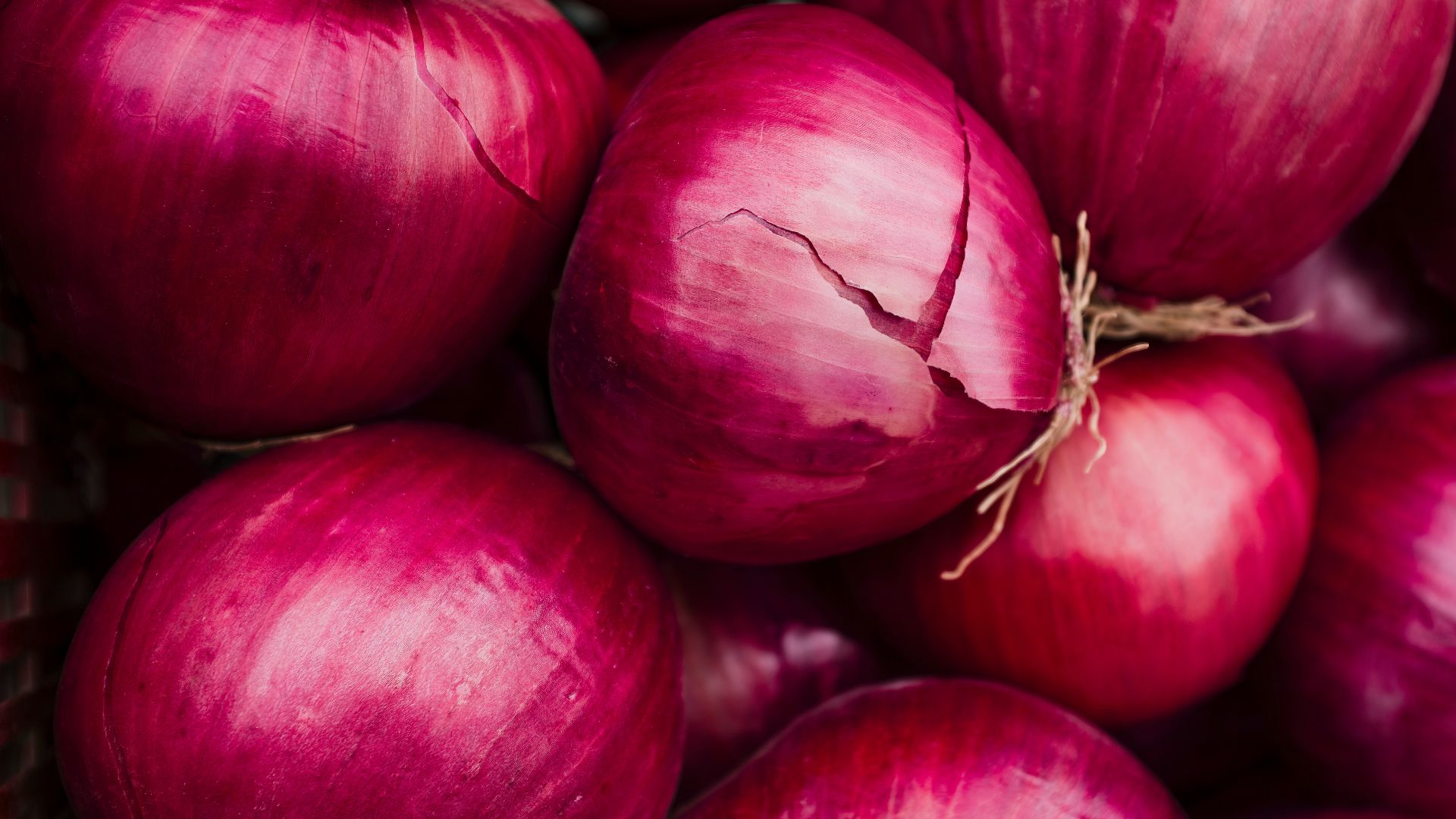 a pile of red apples
