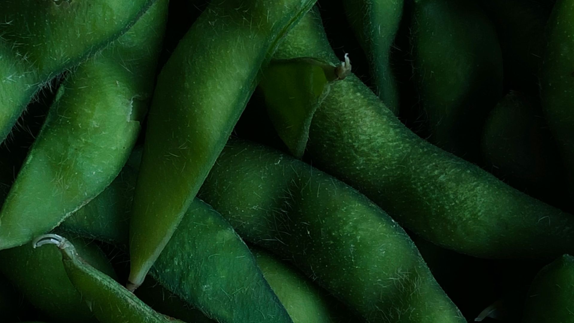 a pile of green beans sitting next to each other