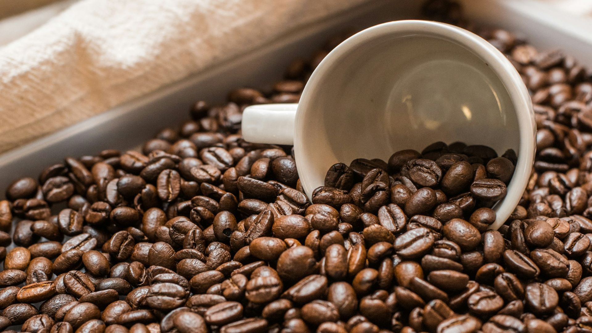 white ceramic mug on brown wooden table