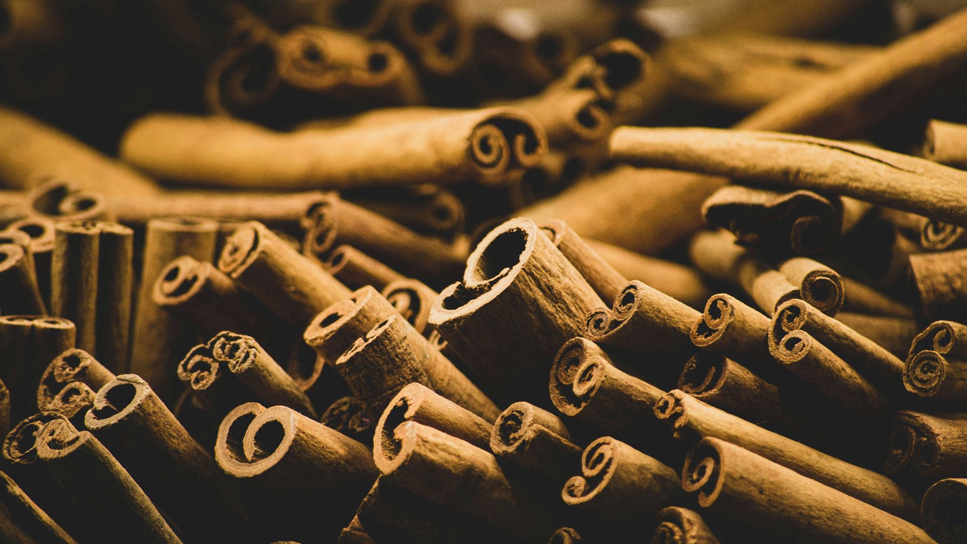 brown wooden sticks in grayscale photography