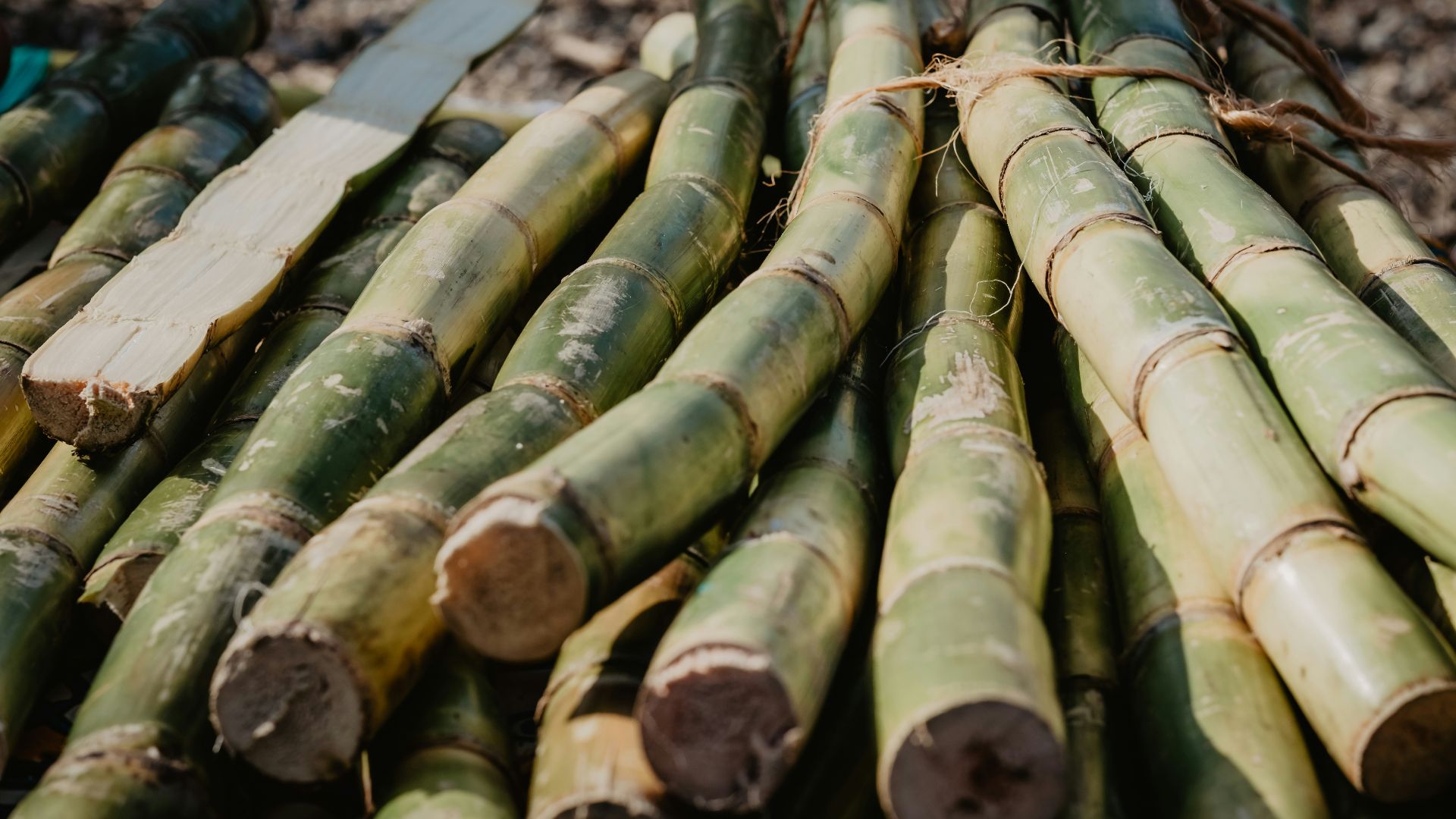 brown bamboo sticks on brown wooden table