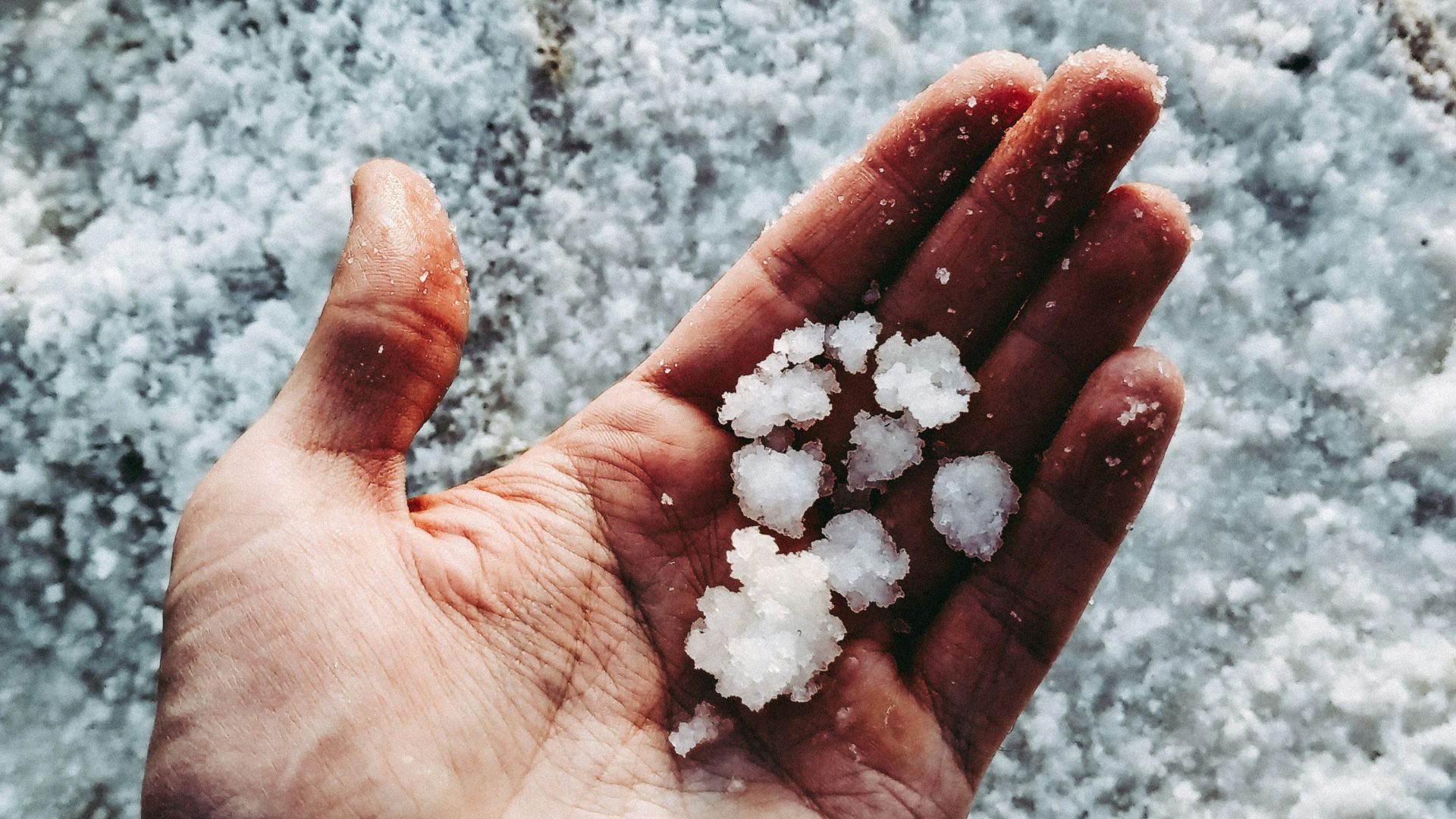 white stones on persons hand