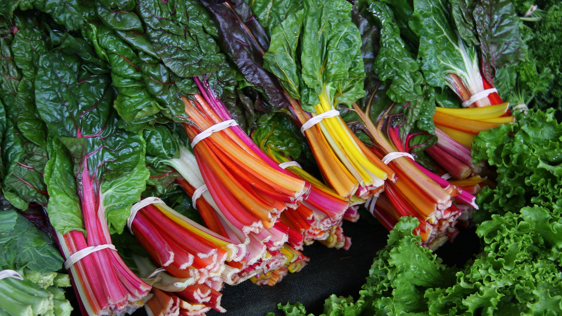 File:Swiss Chard Rainbow.jpg