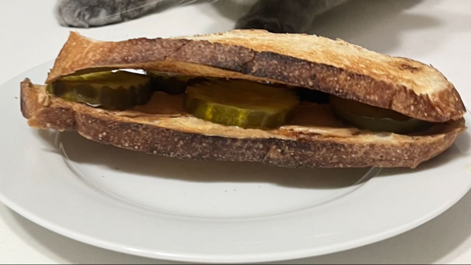 File:Peanut butter pickle sandwich (cropped).png
