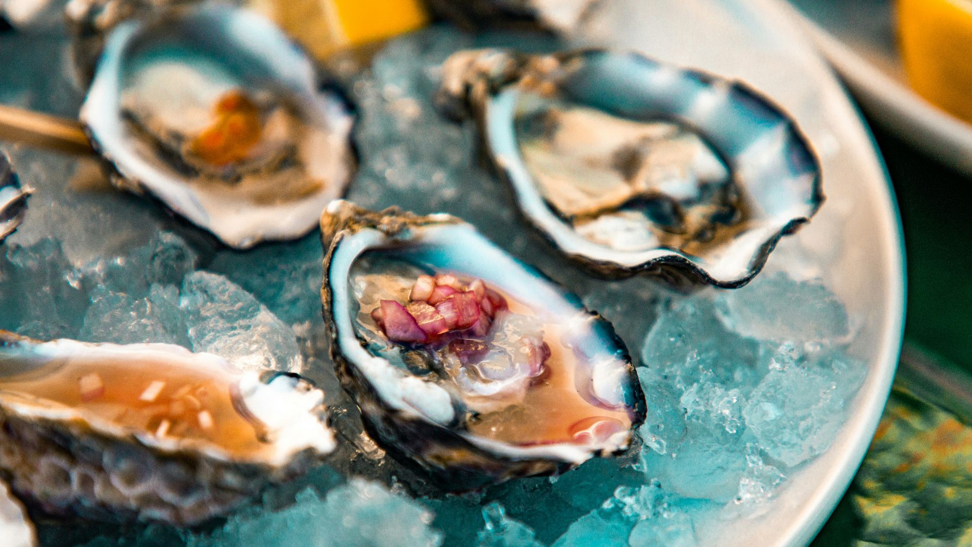 a plate of oysters on ice with lemon wedges