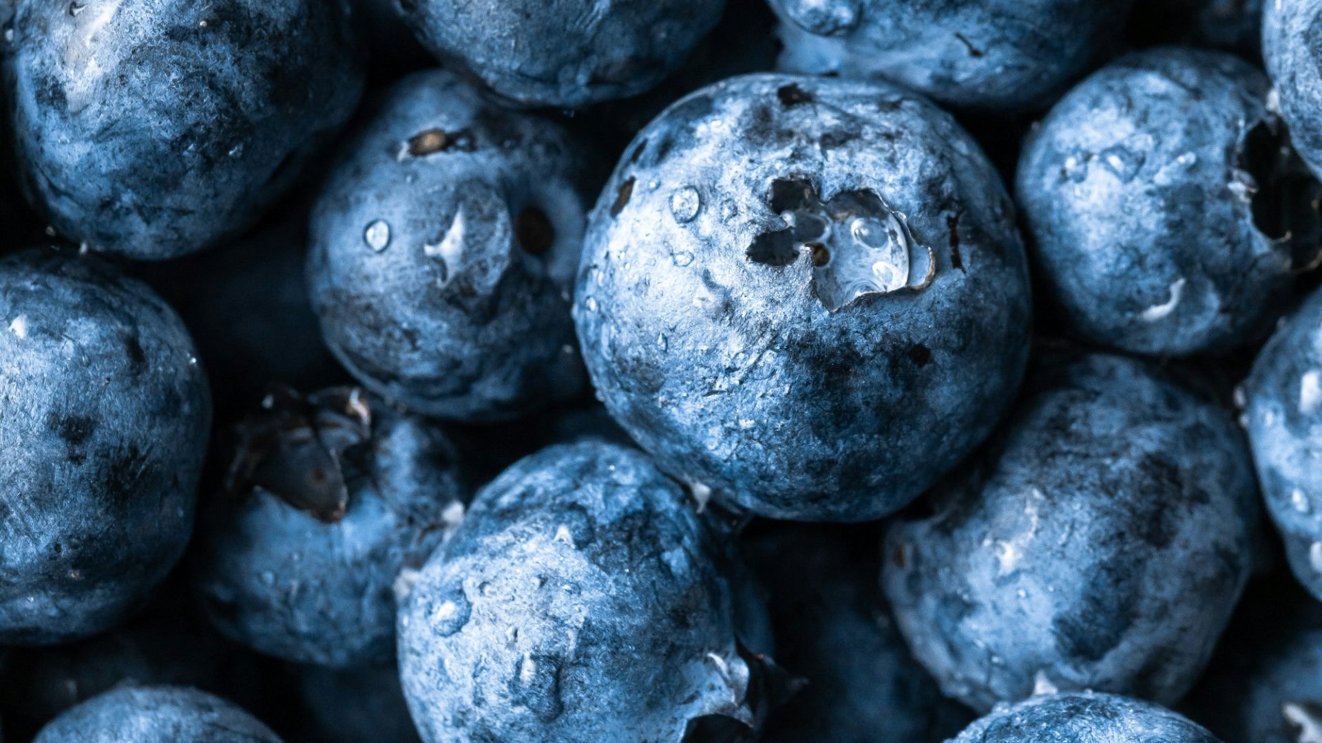 grayscale photography of round fruits