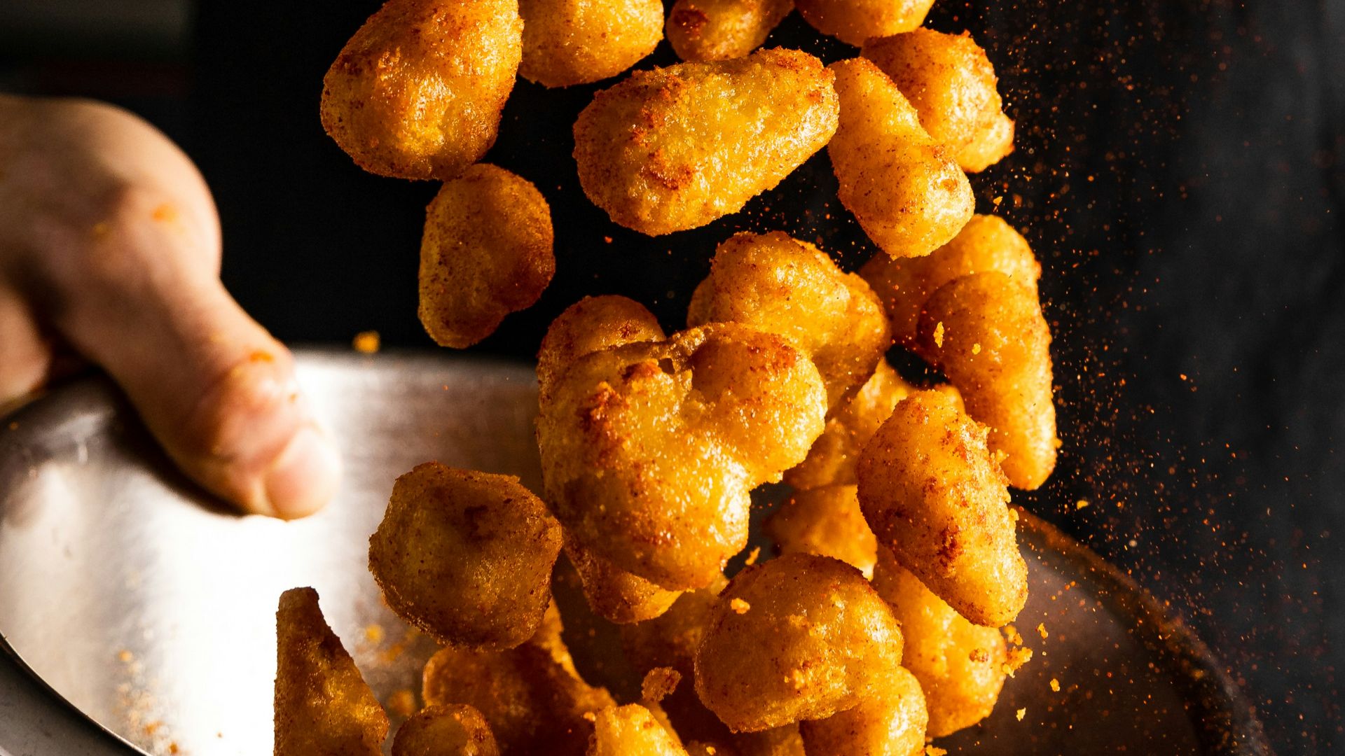 a person holding a bowl of fried food
