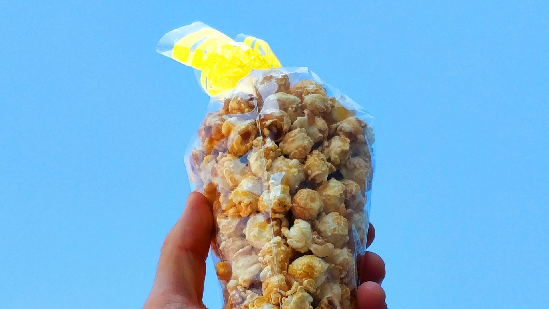 a person holding a corn on the cob in their hand