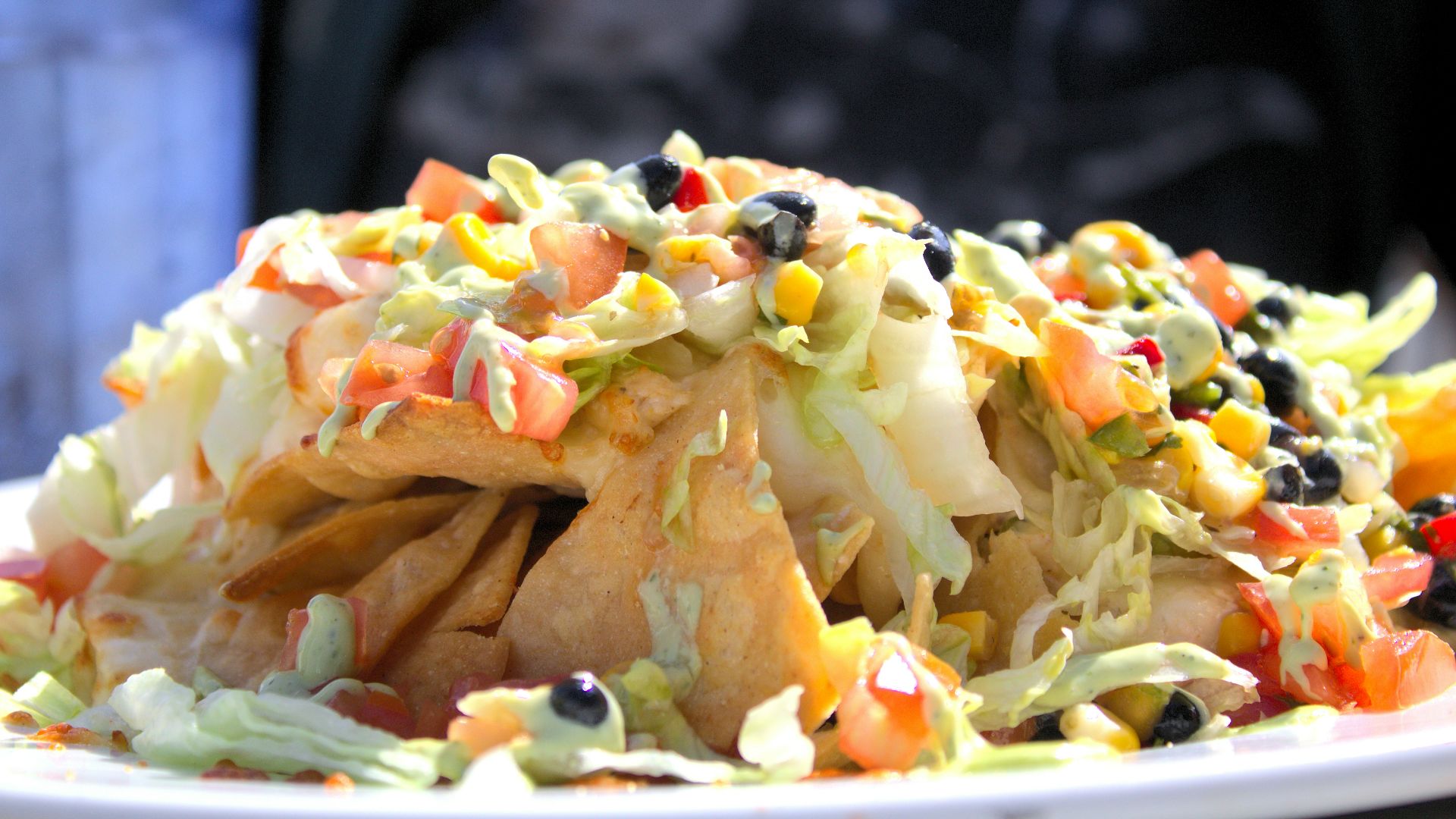 brown and green food on white ceramic plate