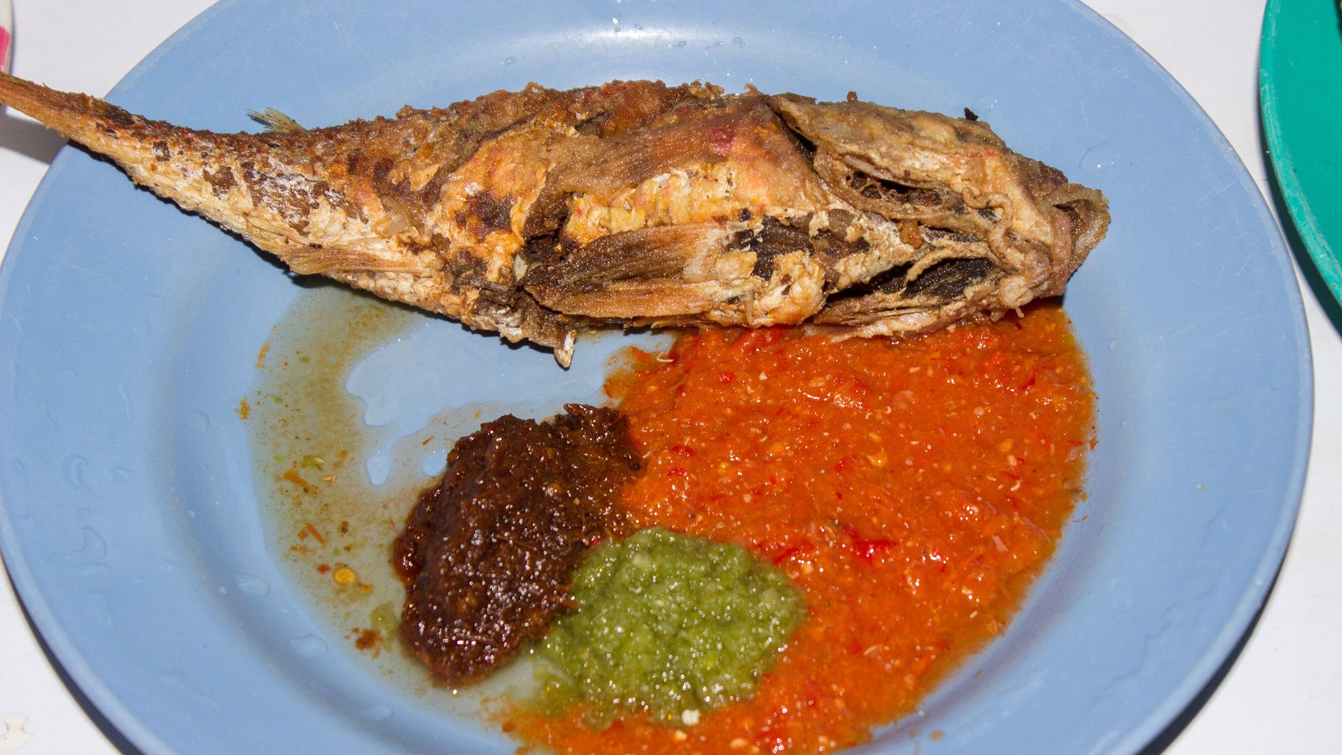 File:Fish in Shito.jpg