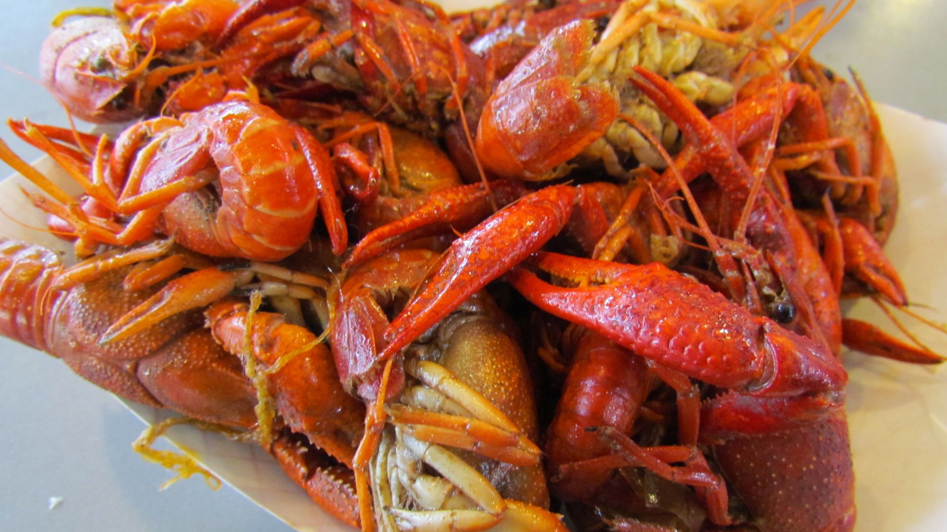 File:Crawfish - New Orleans.jpg