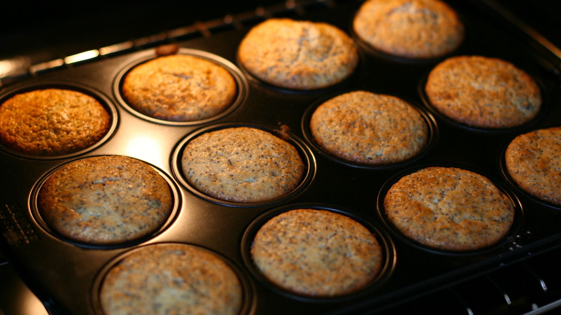 File:Cranberry-Mohn Muffins in baking tray.jpg