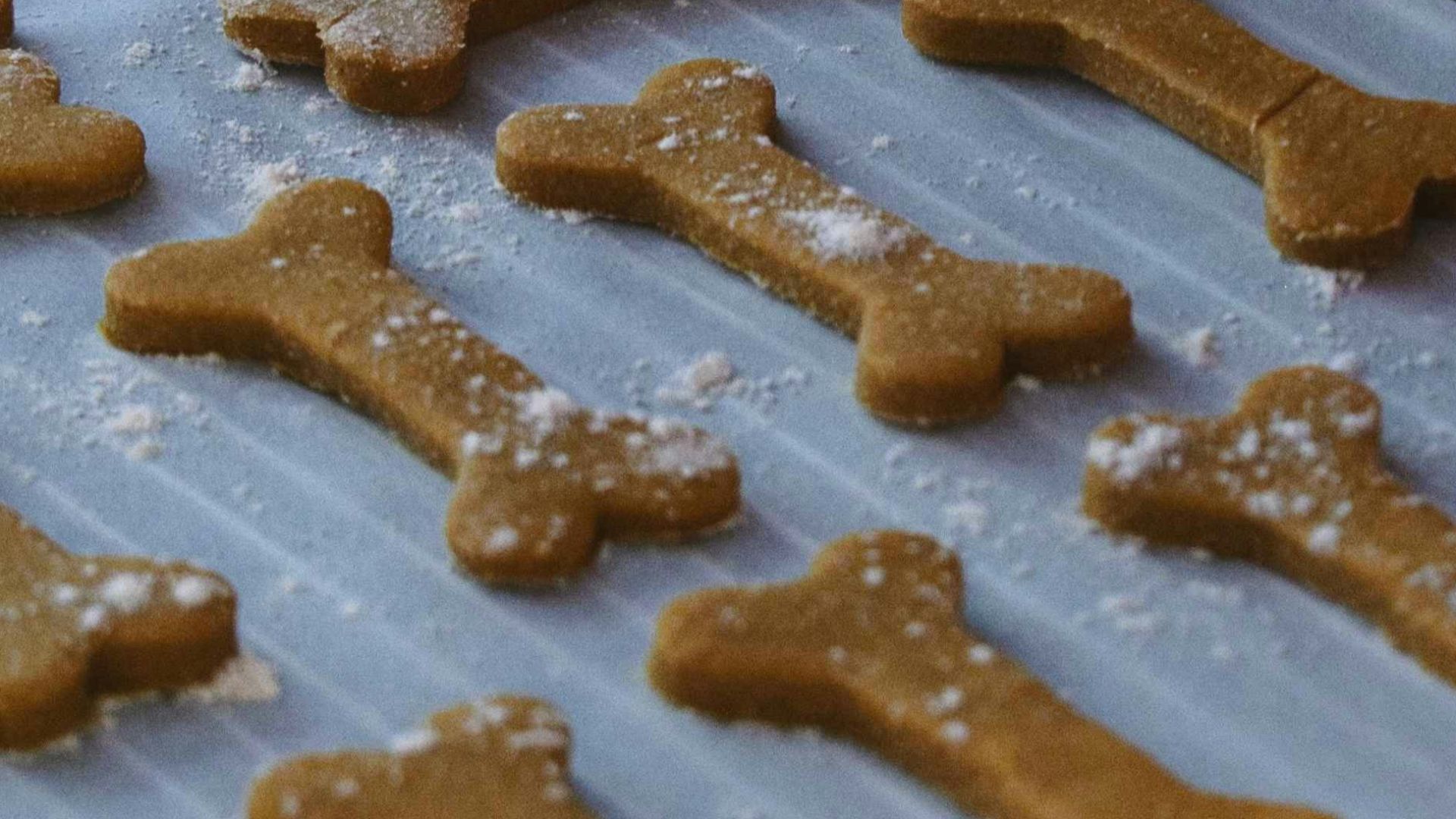 a cookie sheet with dog bones and bones on it