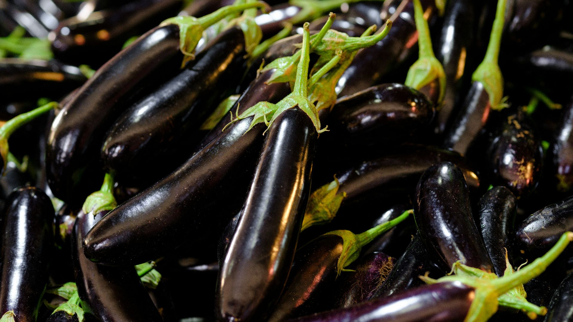 a pile of purple eggplant with green stems