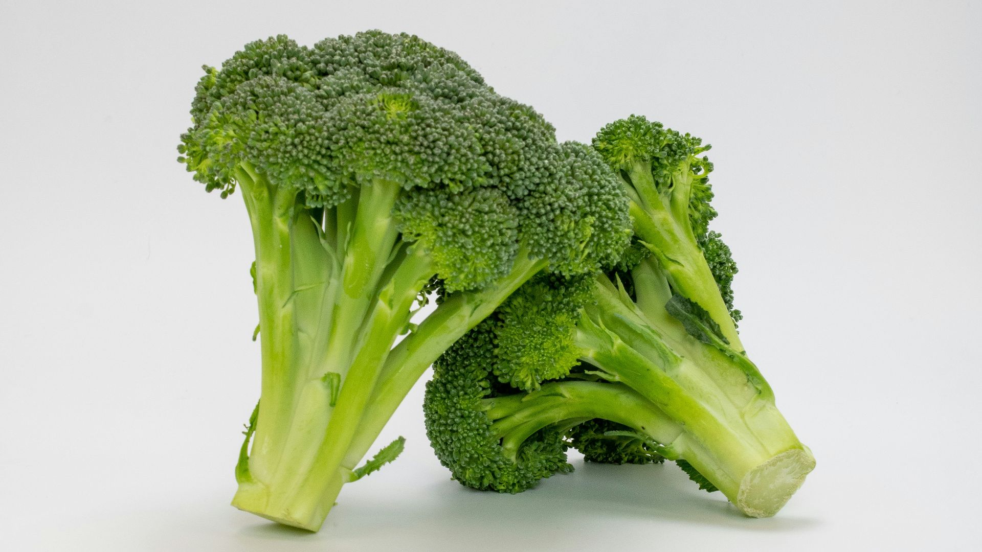 a close up of broccoli on a white background