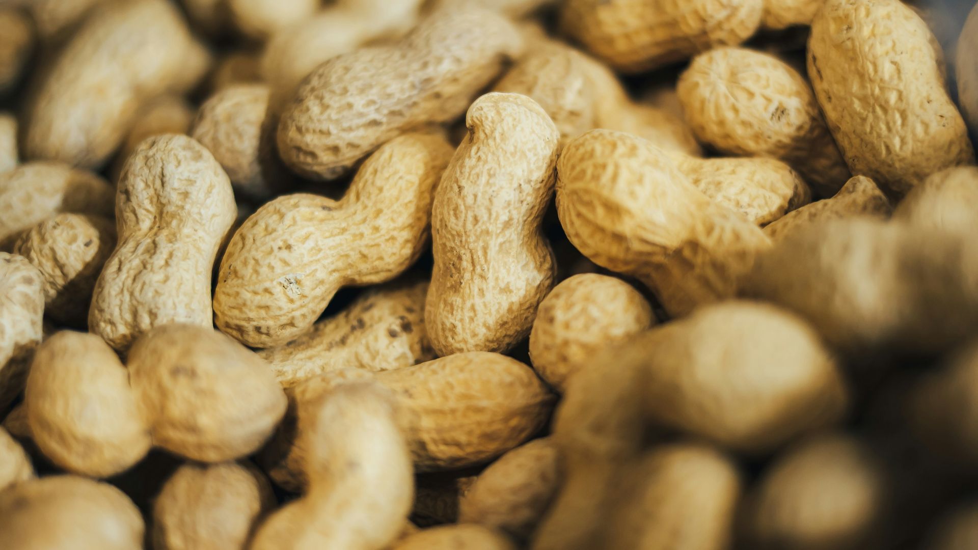 pile of peanuts