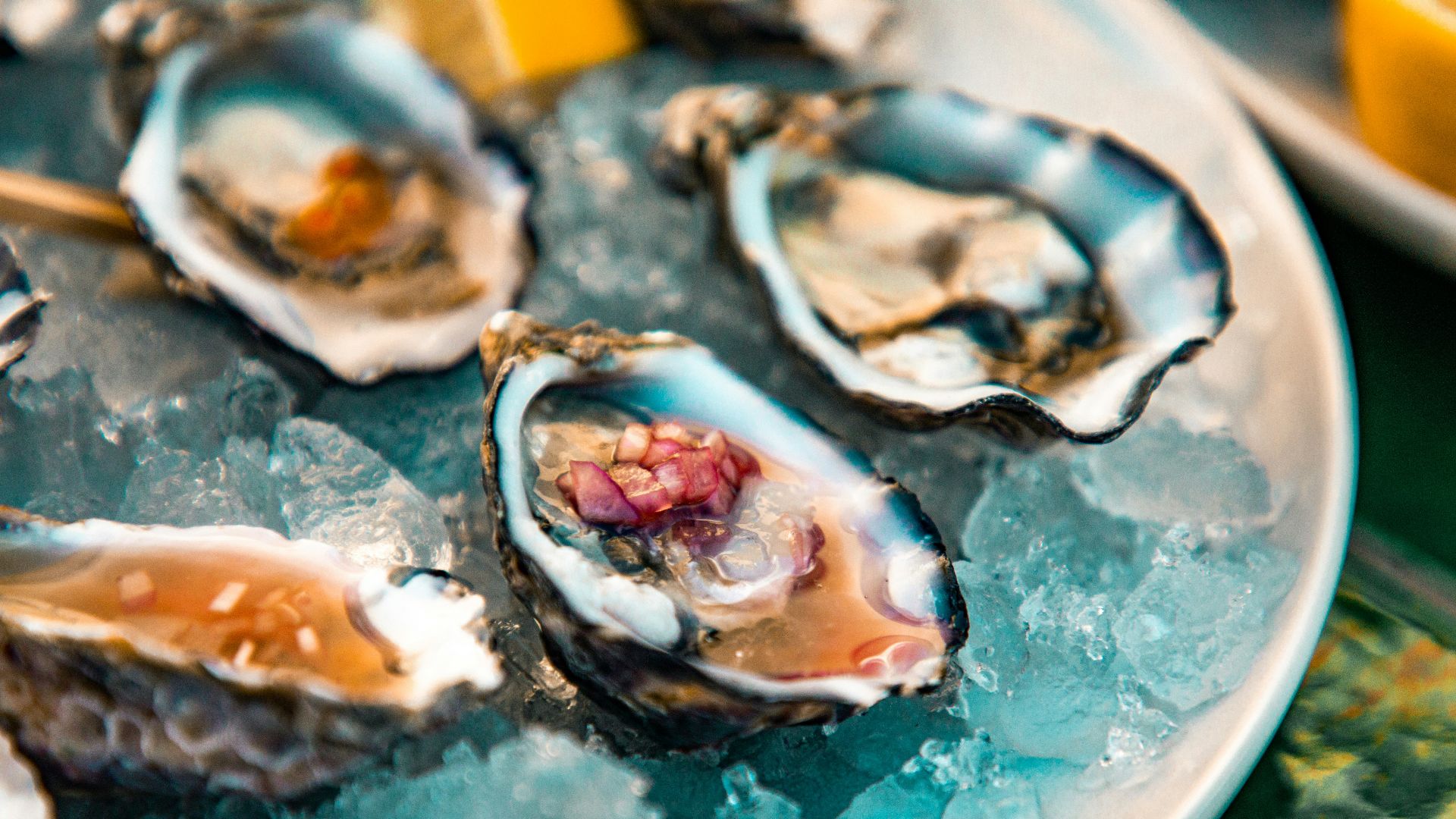 a plate of oysters on ice with lemon wedges