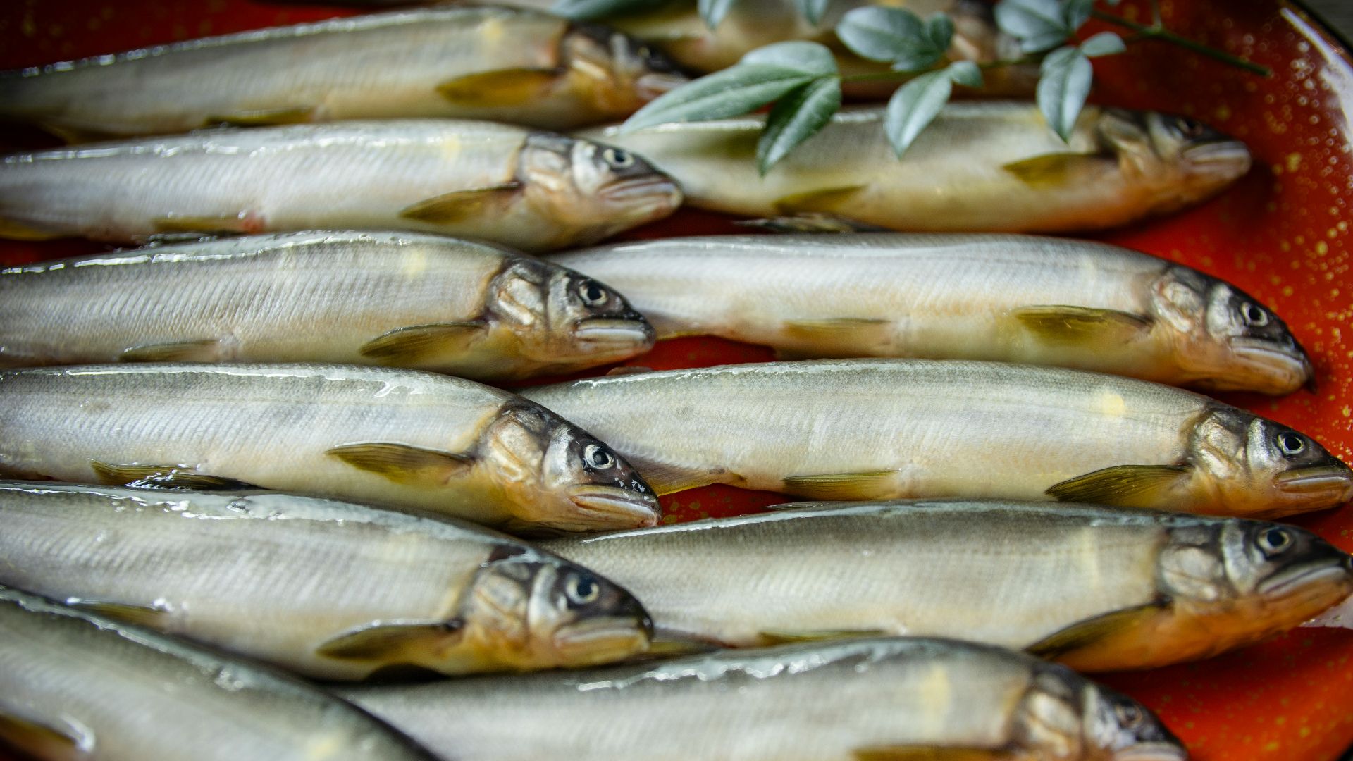 a bunch of fish that are on a plate