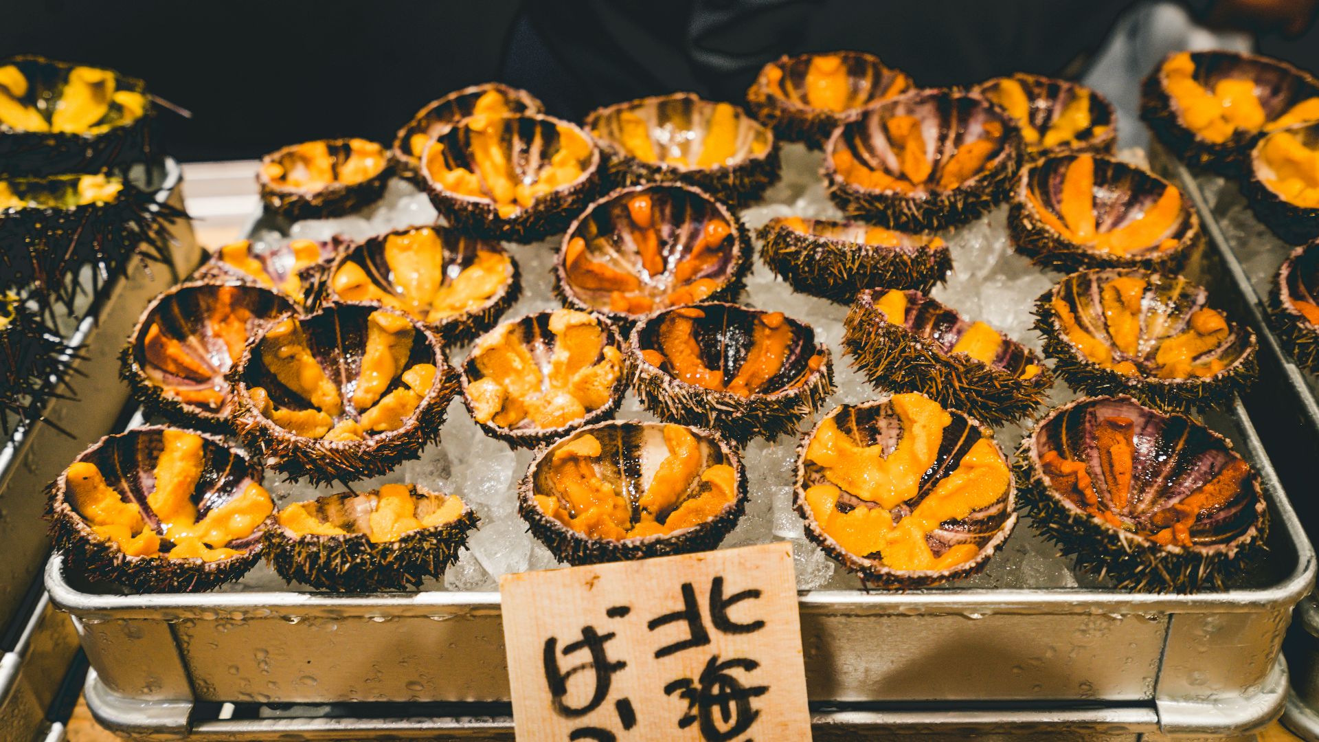 sea urchins on ice