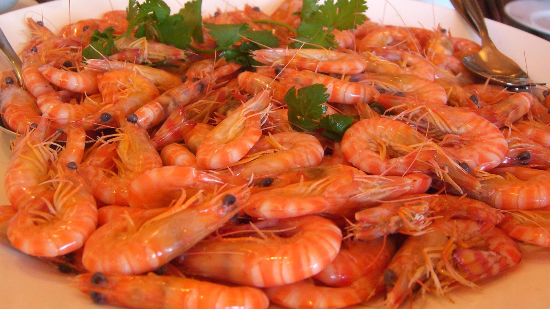 File:Canto white boiled shrimp.jpg