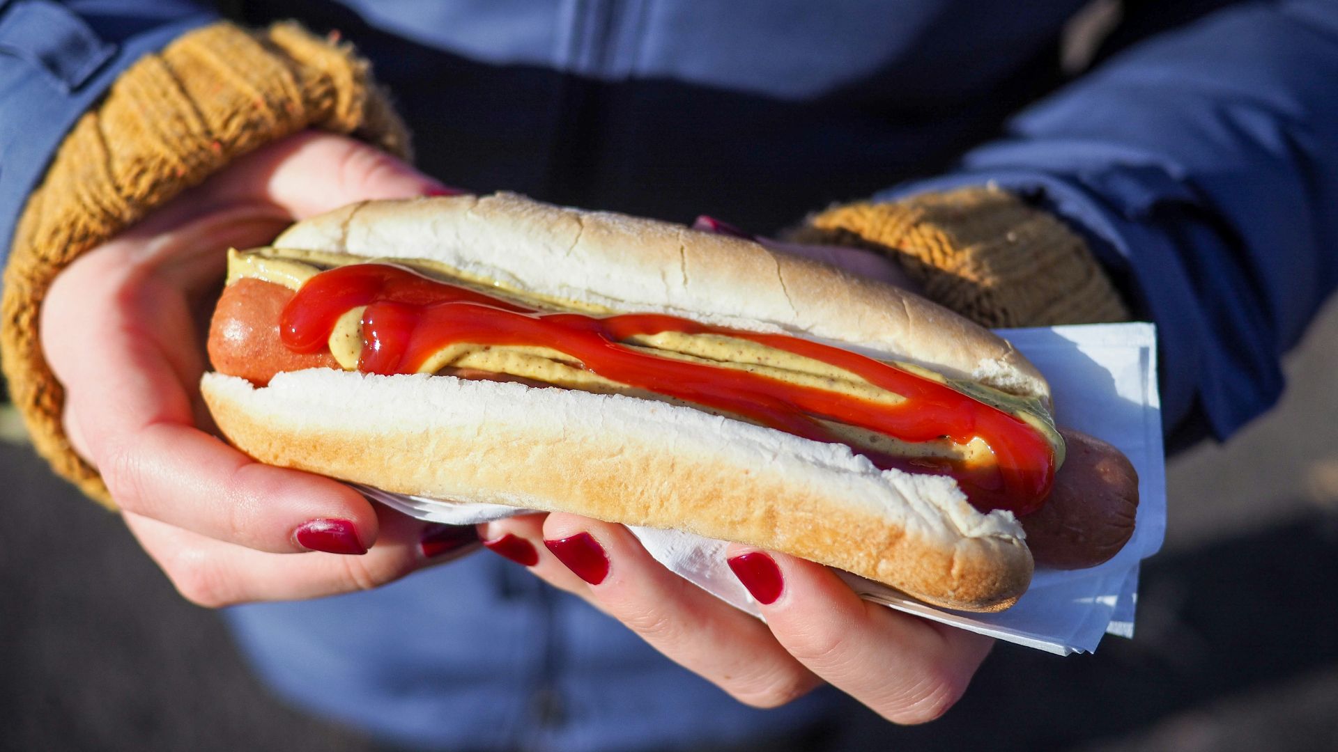 person holding hotdog with bun