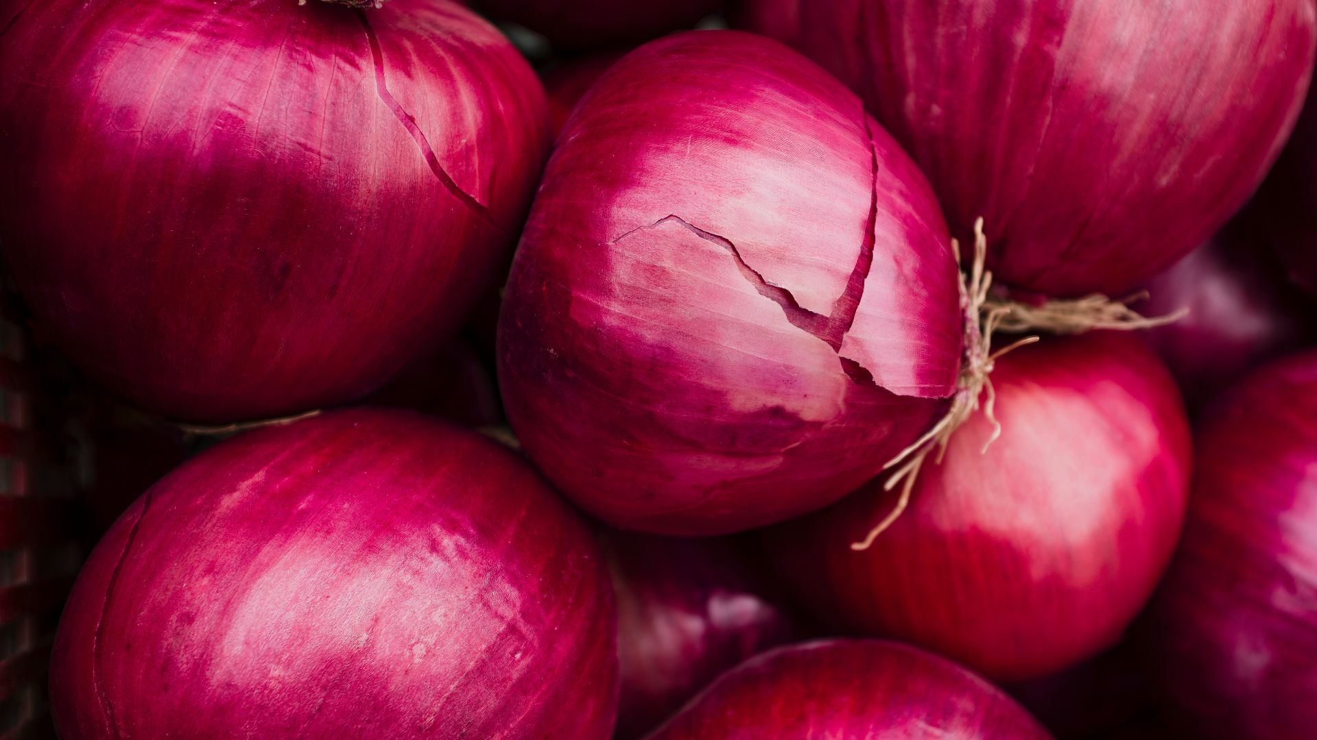 a pile of red apples