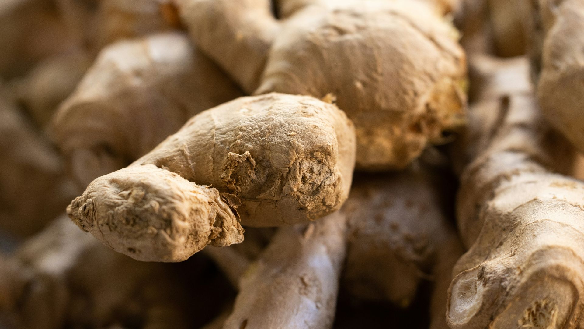 a close up of a bunch of ginger roots