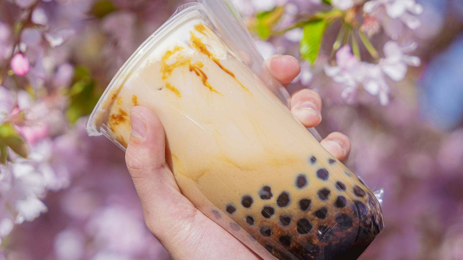 Hand holding a refreshing bubble tea.