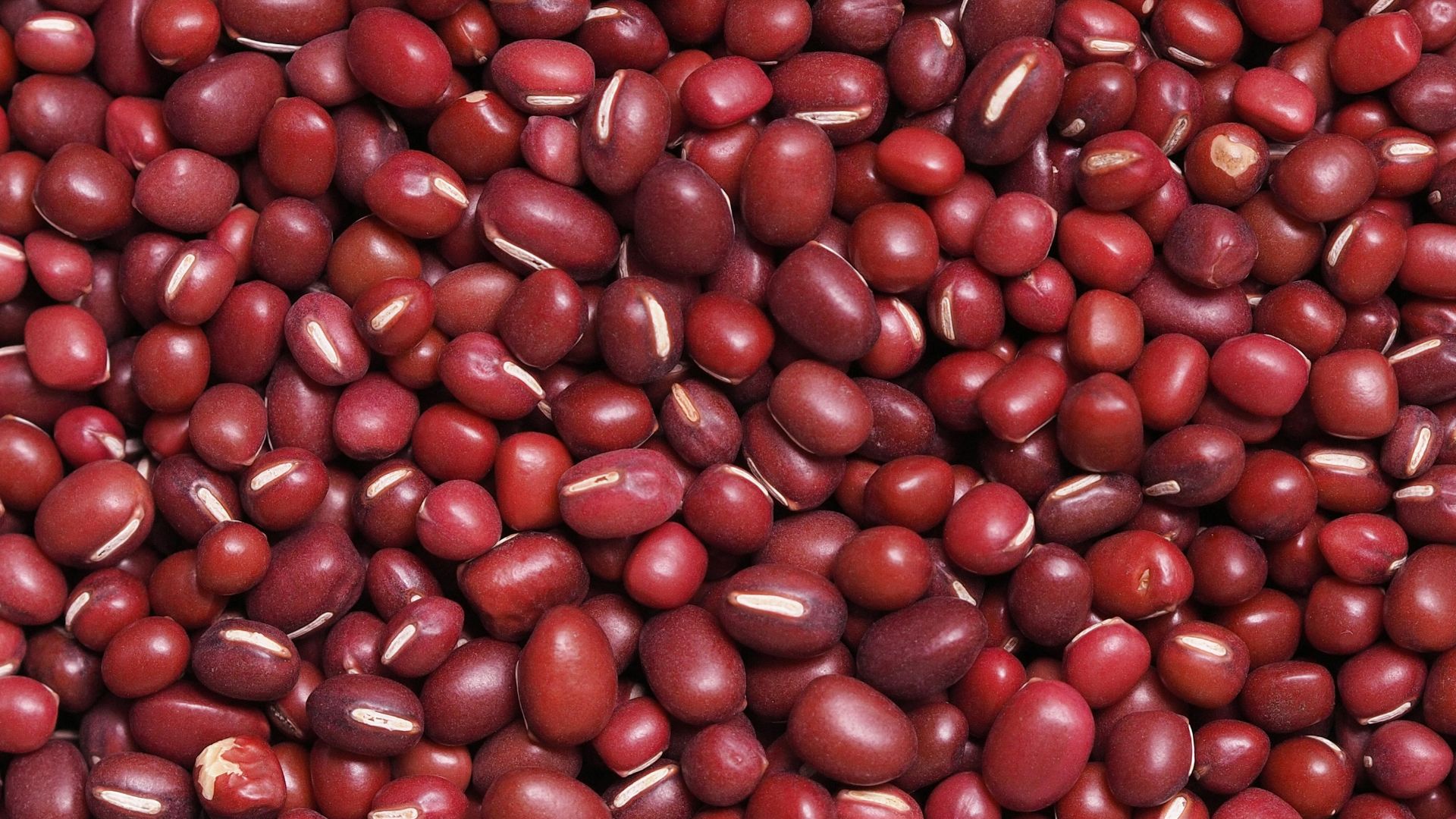 red round fruits on white surface