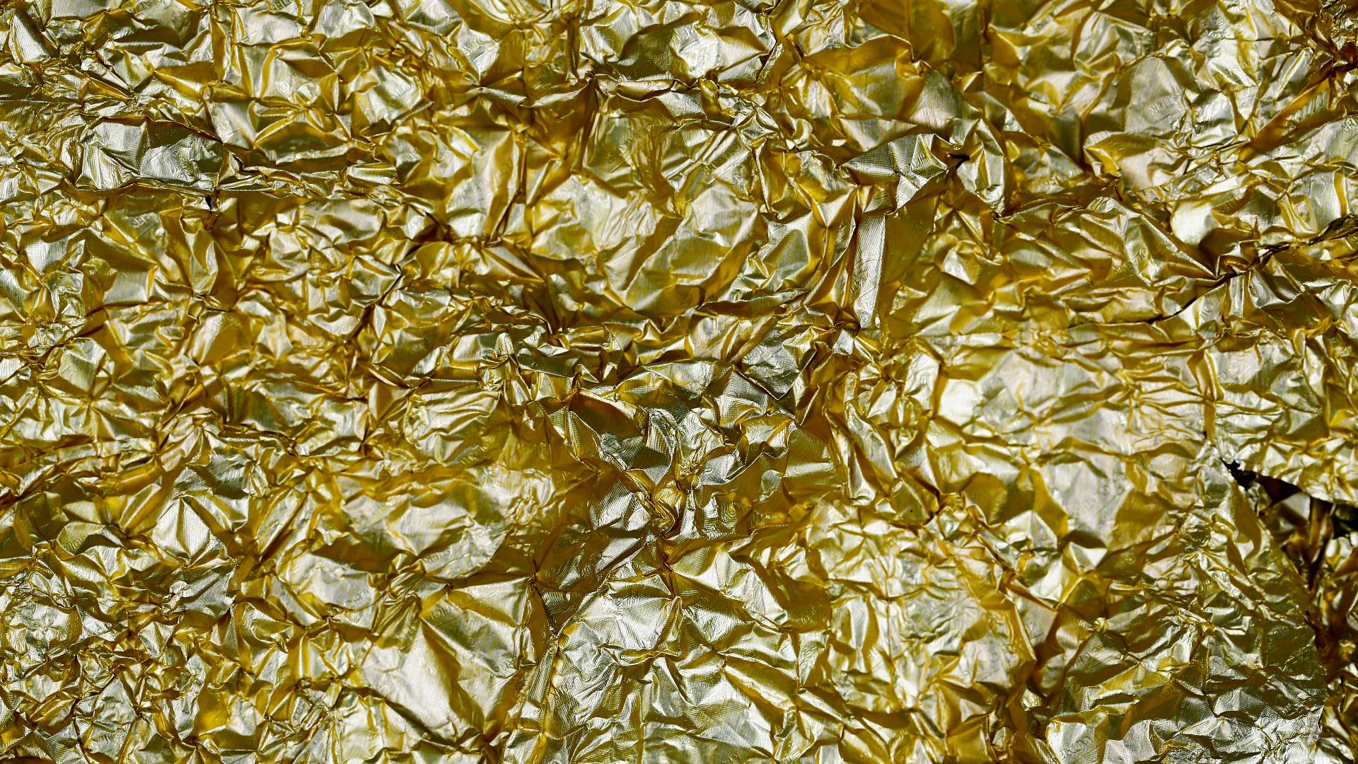 yellow and white leaves on ground