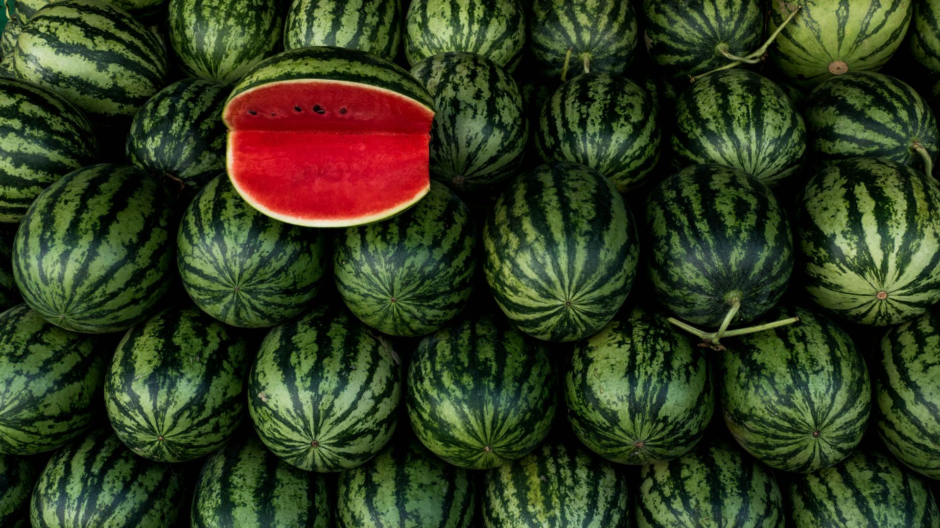 a large pile of watermelon with a piece of watermelon on top