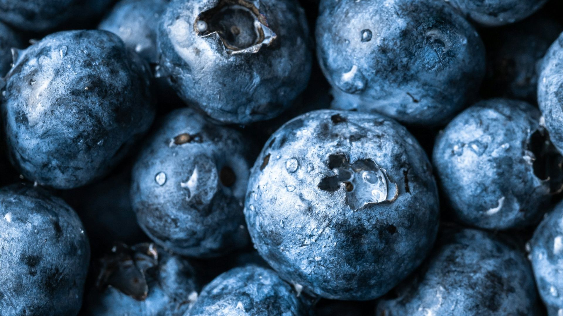 grayscale photography of round fruits