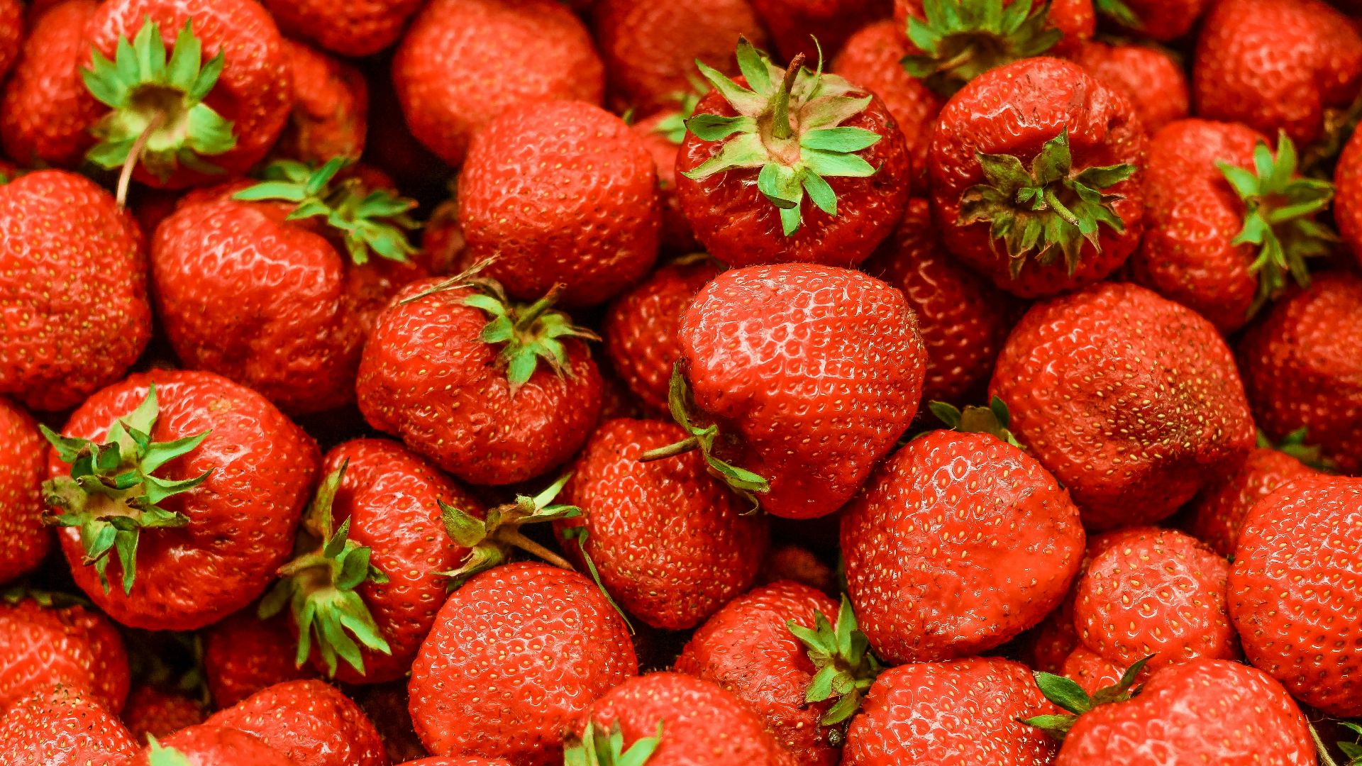 strawberry lot