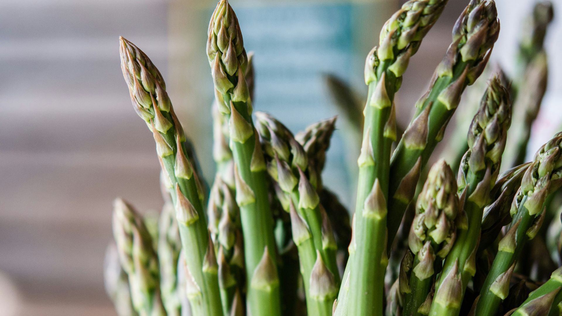 green plant on white ceramic bowl