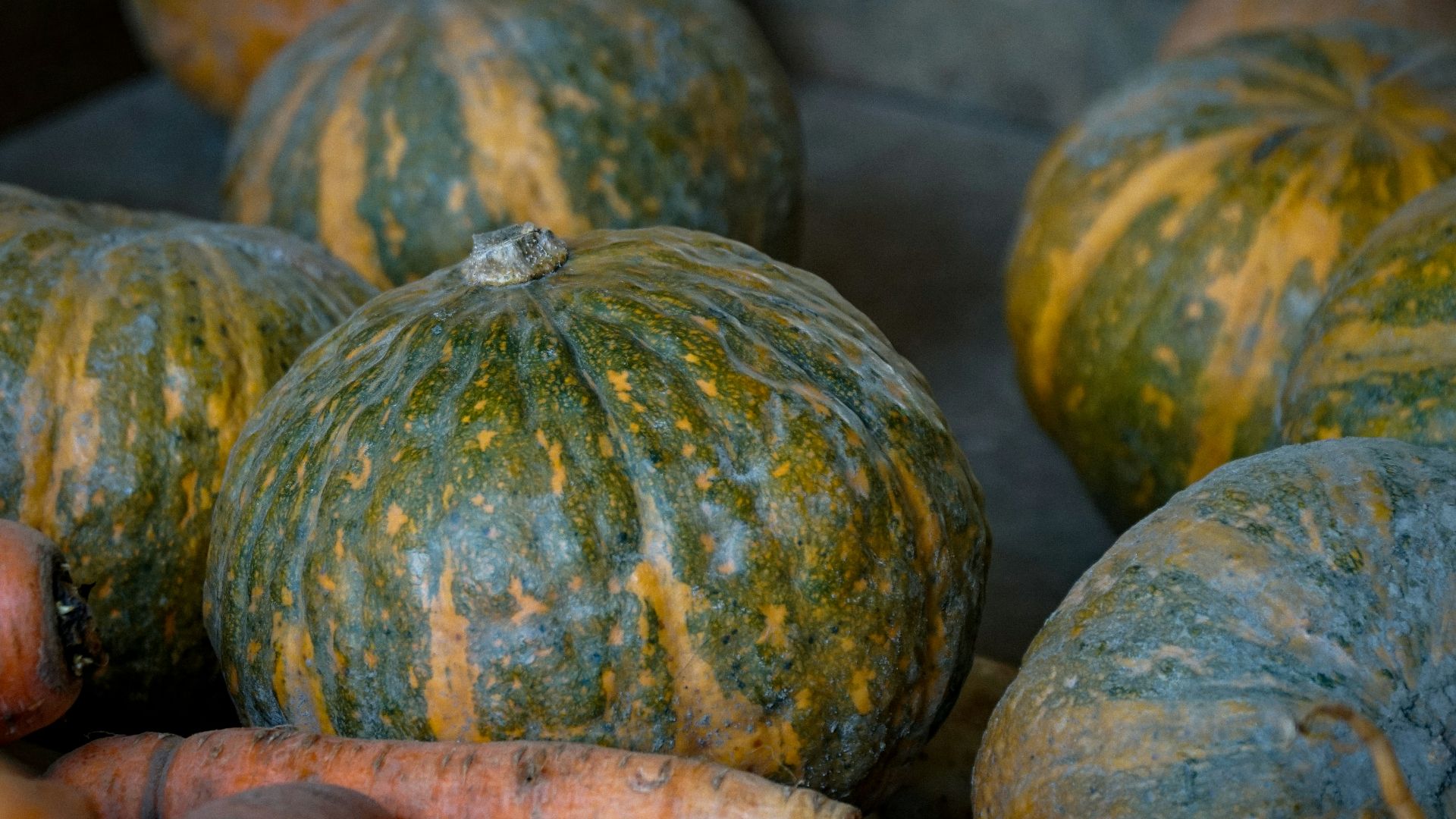 Pumpkins and carrots are ready for fall.