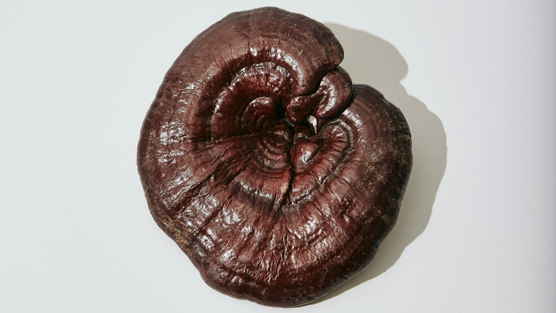 a piece of food that is sitting on a table