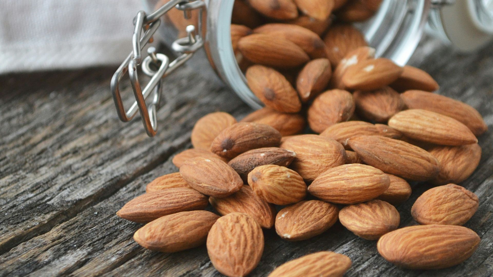 close up photo of Almonds