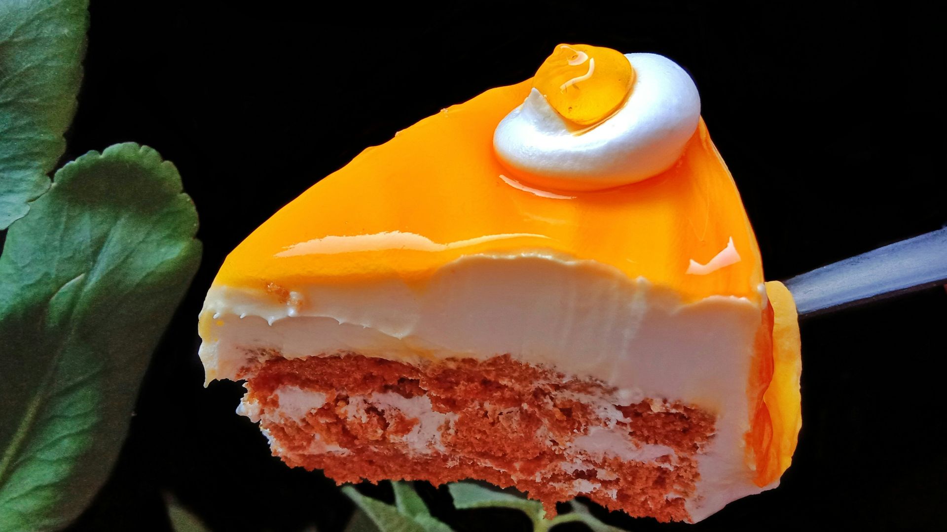 yellow rose with green leaves