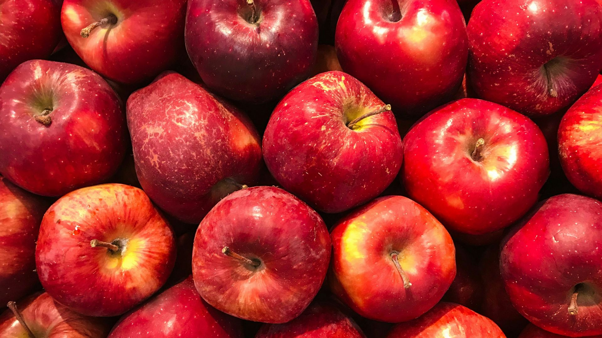 bunch of red apples