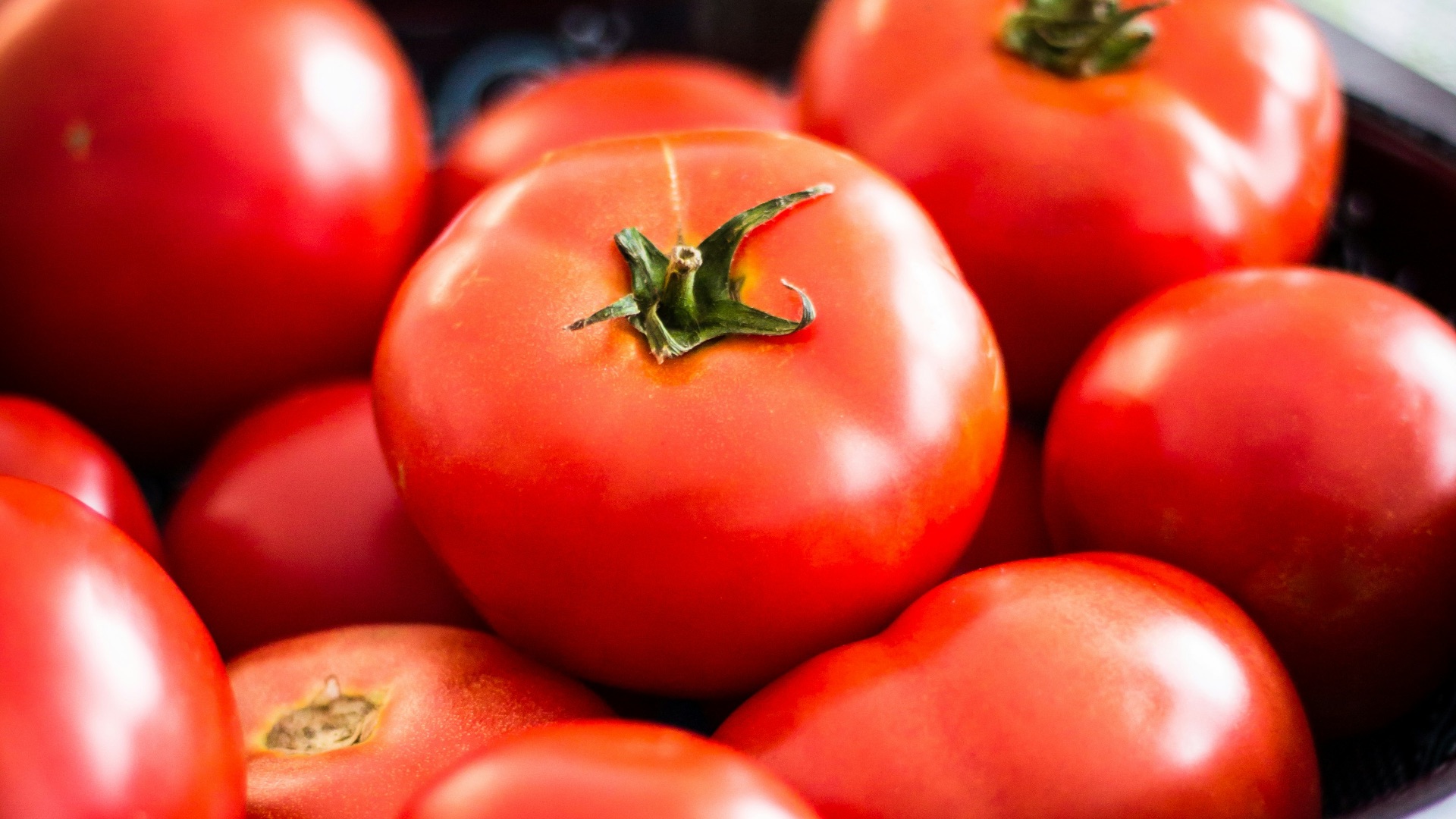 a bowl of red tomatoes