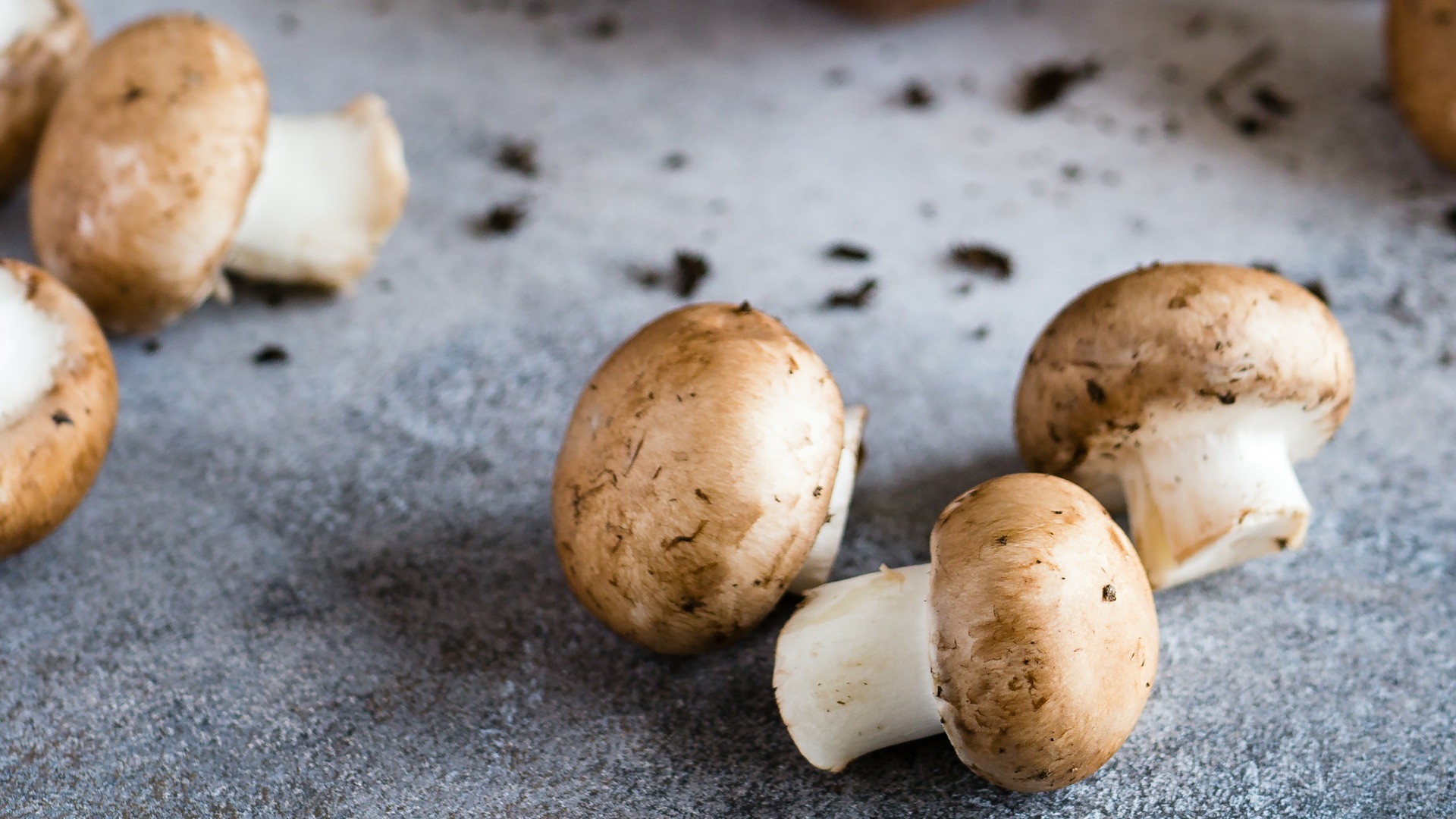 brown mushrooms on gray surface
