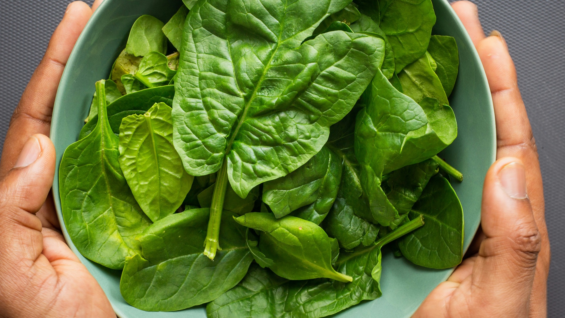 green leaves on blue plastic bowl