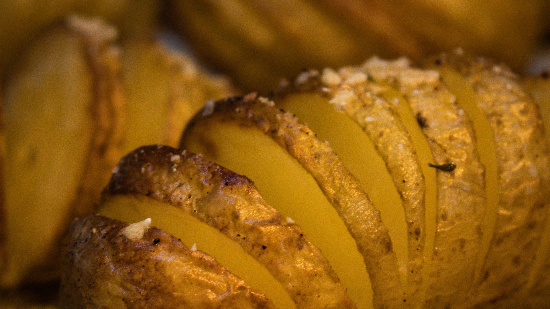 a close up of some food on a tray