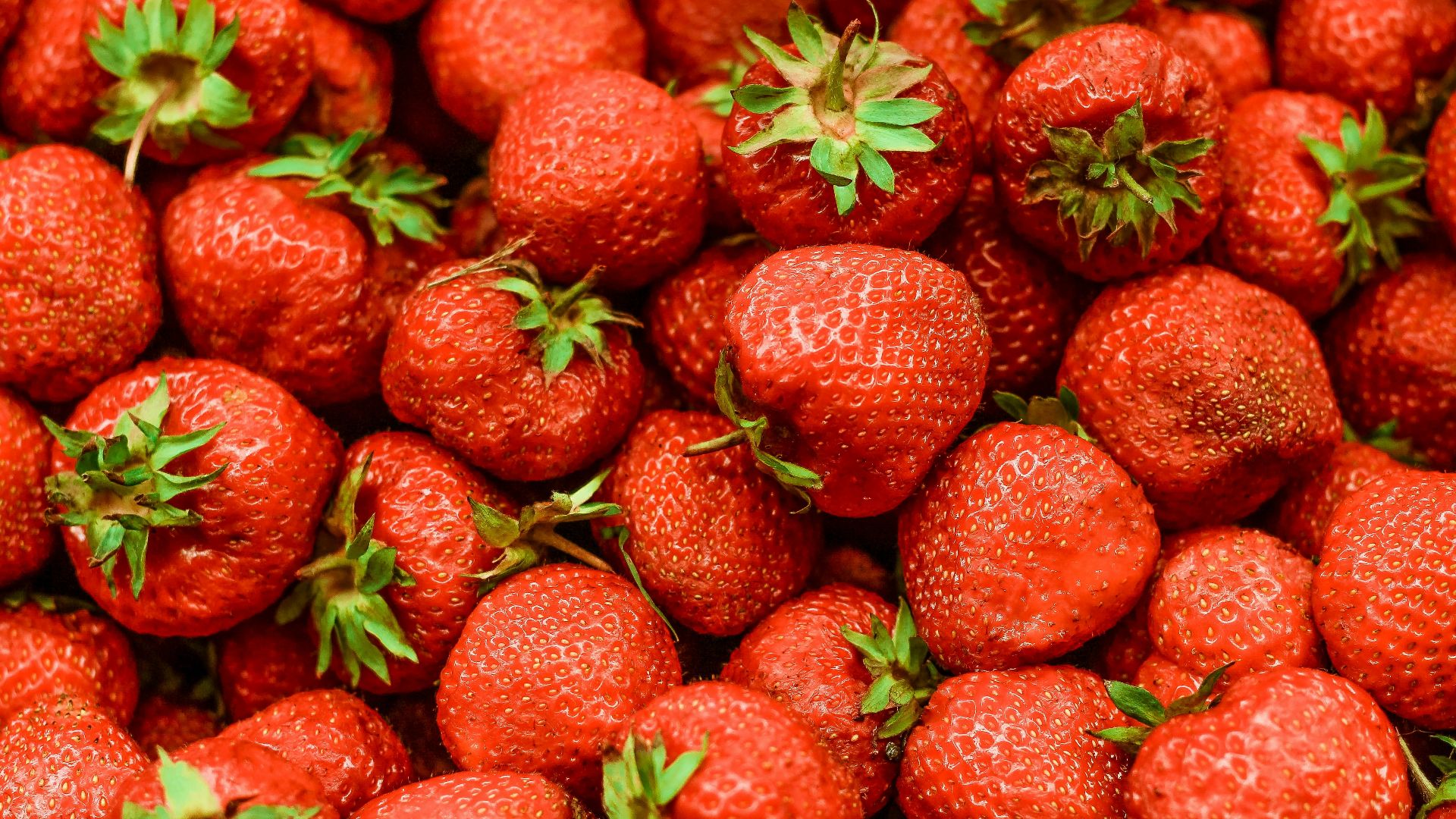 strawberry lot