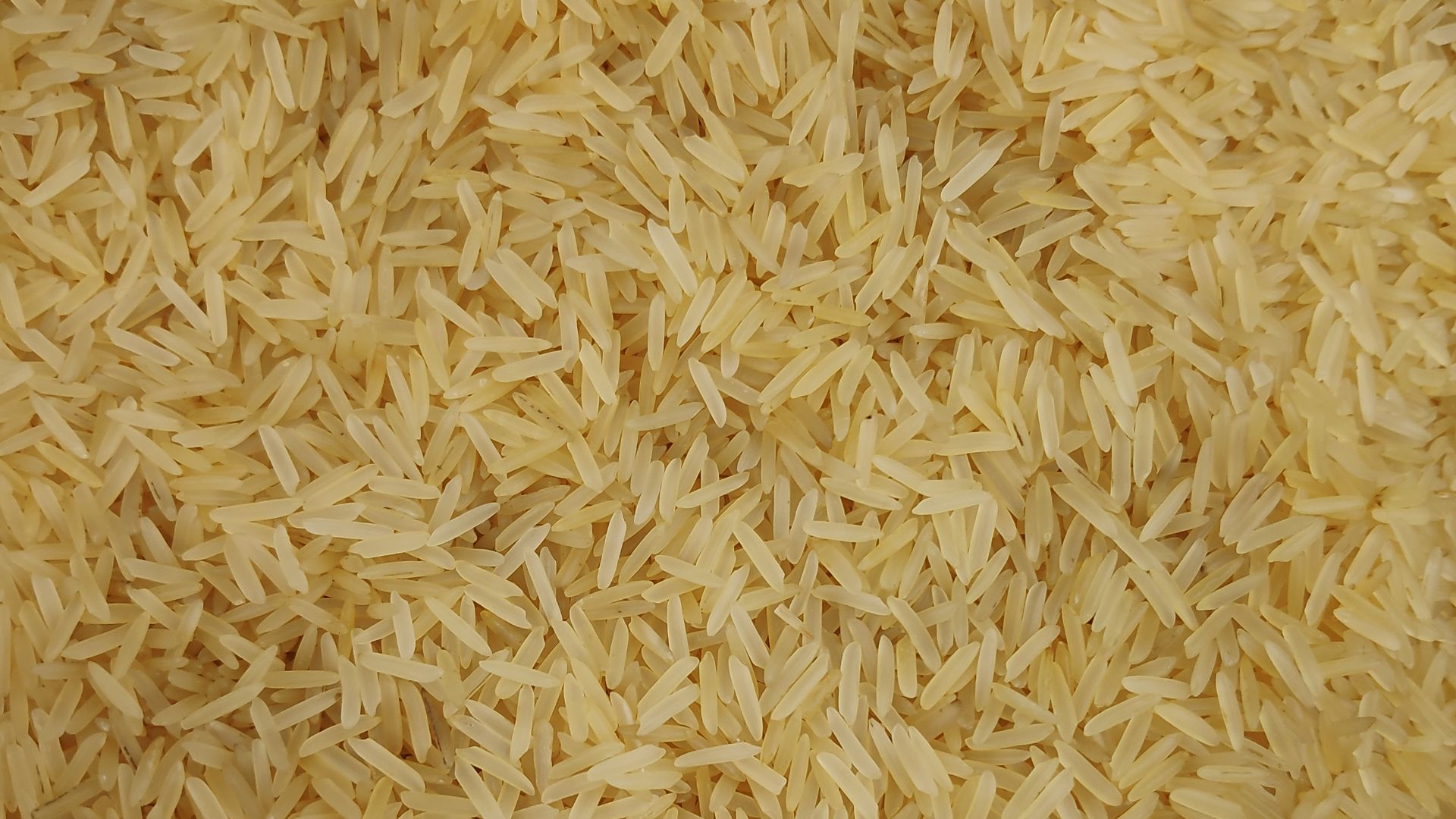 File:Basmati Rice 2.jpg