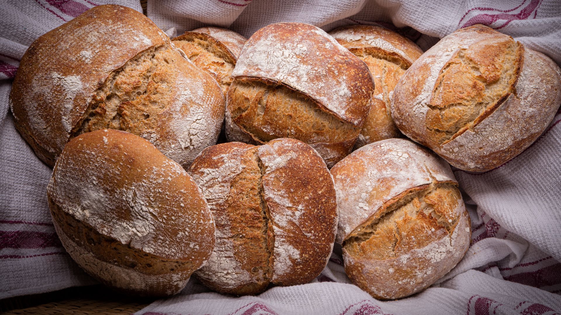File:Home made sour dough bread.jpg