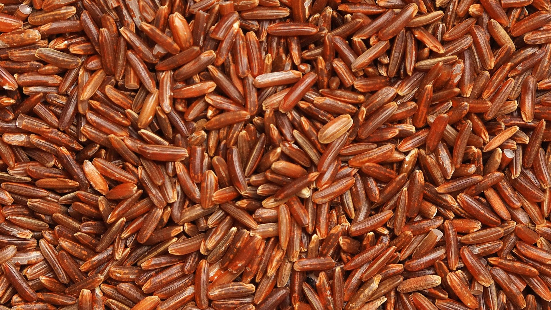 brown and white dried leaves